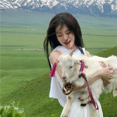 形意山河之火力拳开